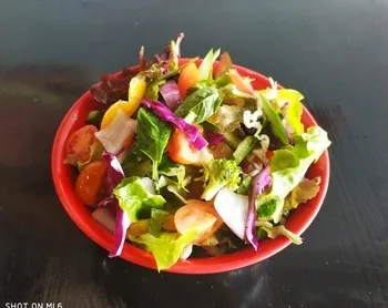סלט ירקות הבית מנה 750 מל